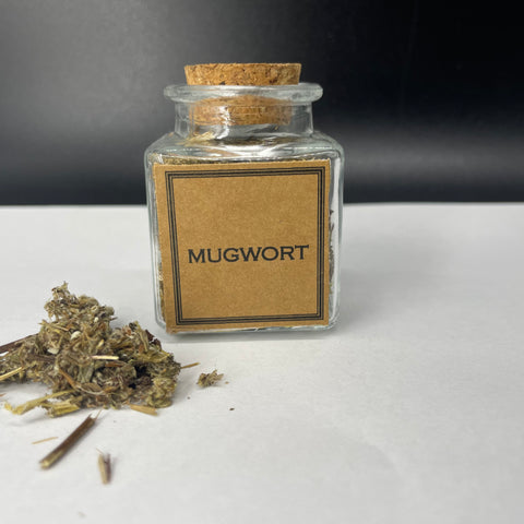 Mugwort