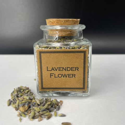 Lavender Flower